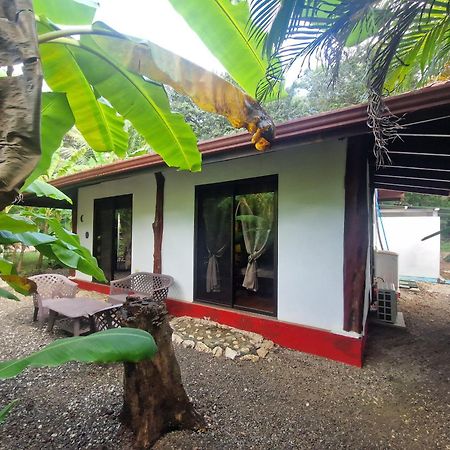 Villas Jungle 5 Sámara Exteriör bild