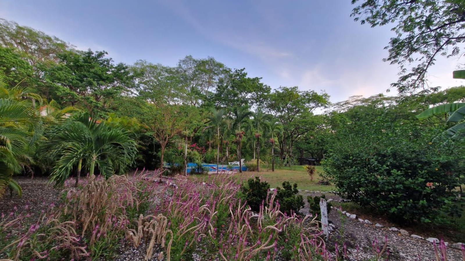 Villas Jungle 5 Sámara Exteriör bild