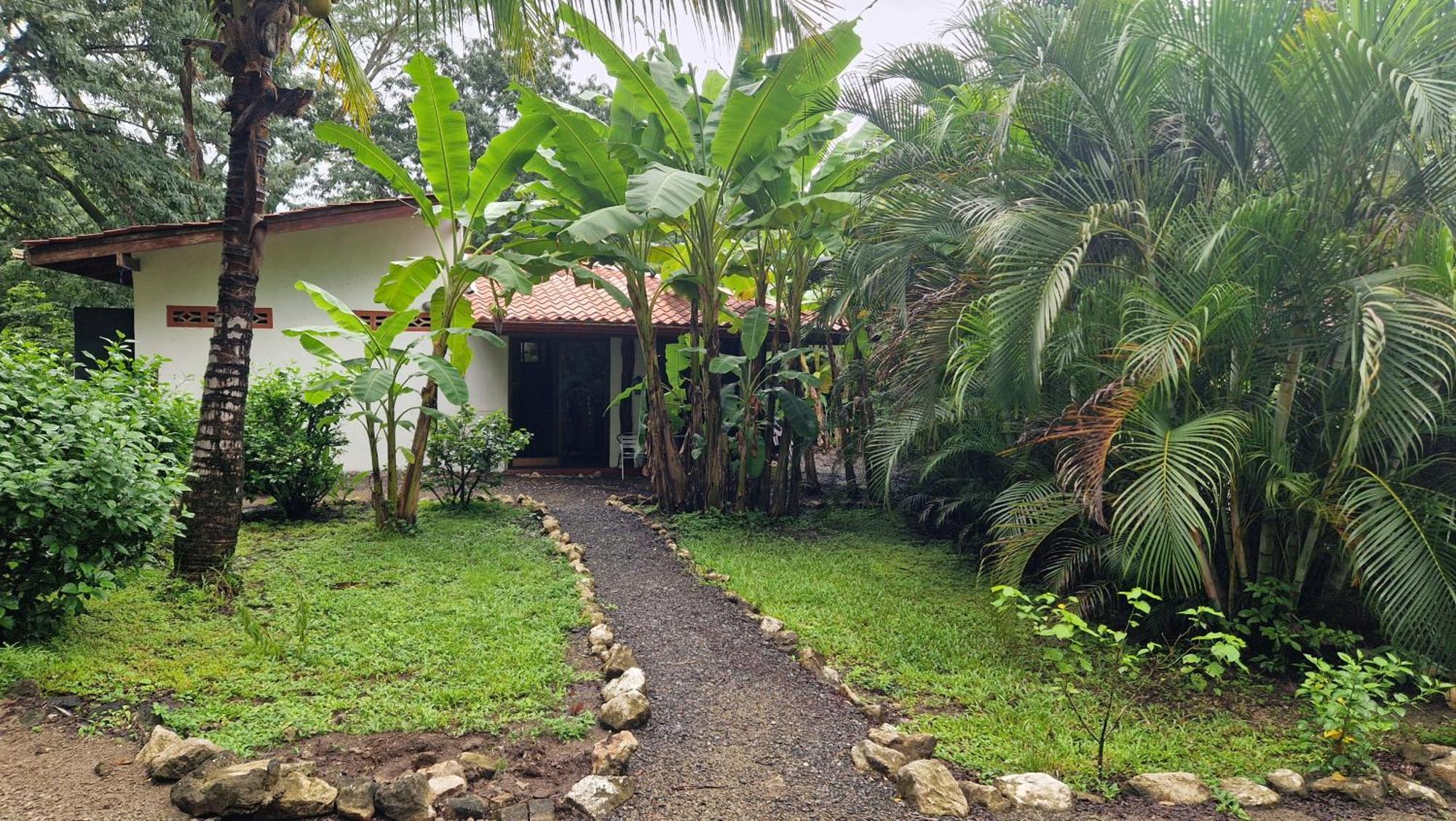 Villas Jungle 5 Sámara Exteriör bild